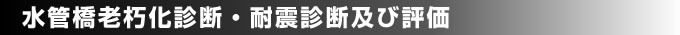 水管橋老朽化診断・耐震診断及び評価